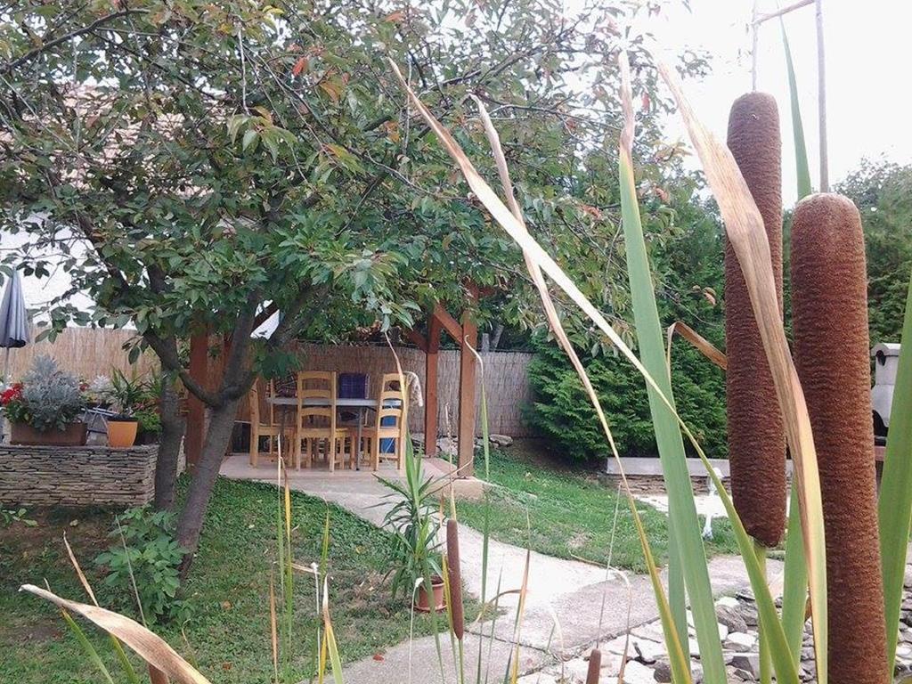 Toldi Panzio Guest house Heviz