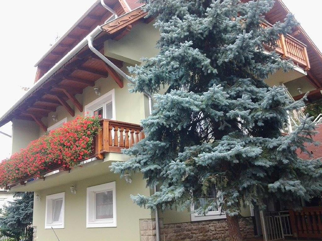 Toldi Panzio Guest house 3*